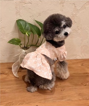 予約  【pecoramou select】 Ramblin'  Dress