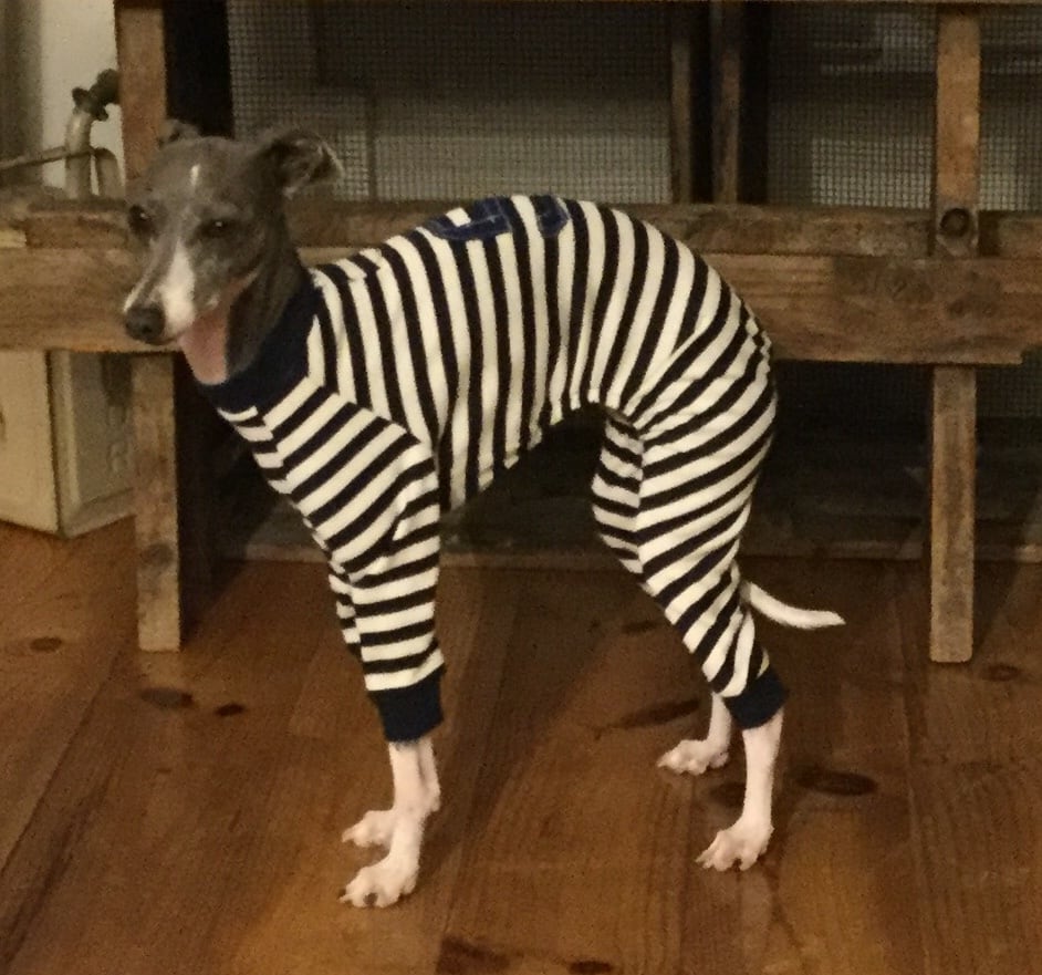 お犬服のオールインワン(囚人さんボーダー) | Scomsoly