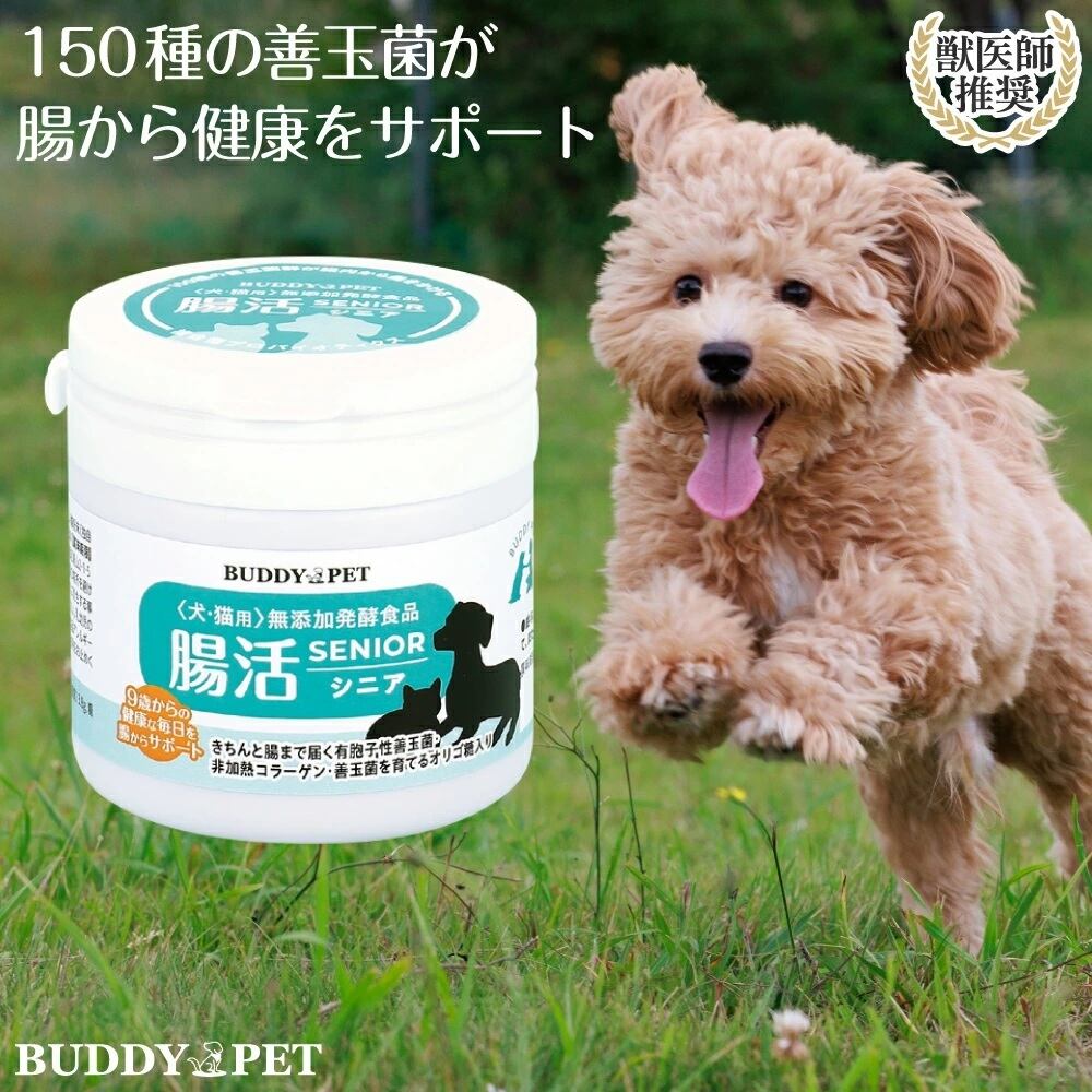 サプリメント | BUDDYPET
