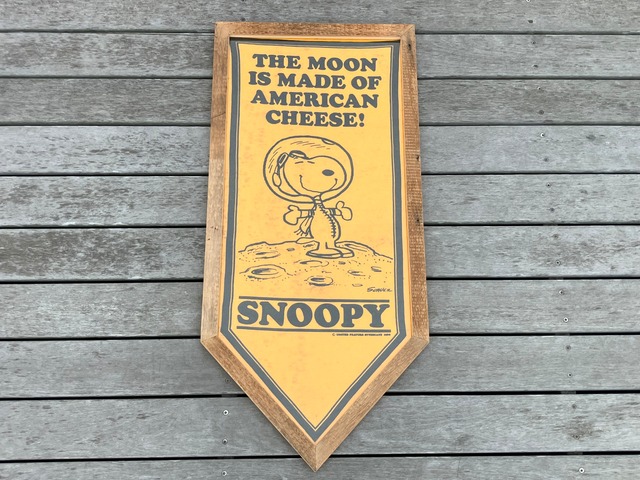 70s PEANUTS  ASTRONAUT FELT BANNER FRAMING