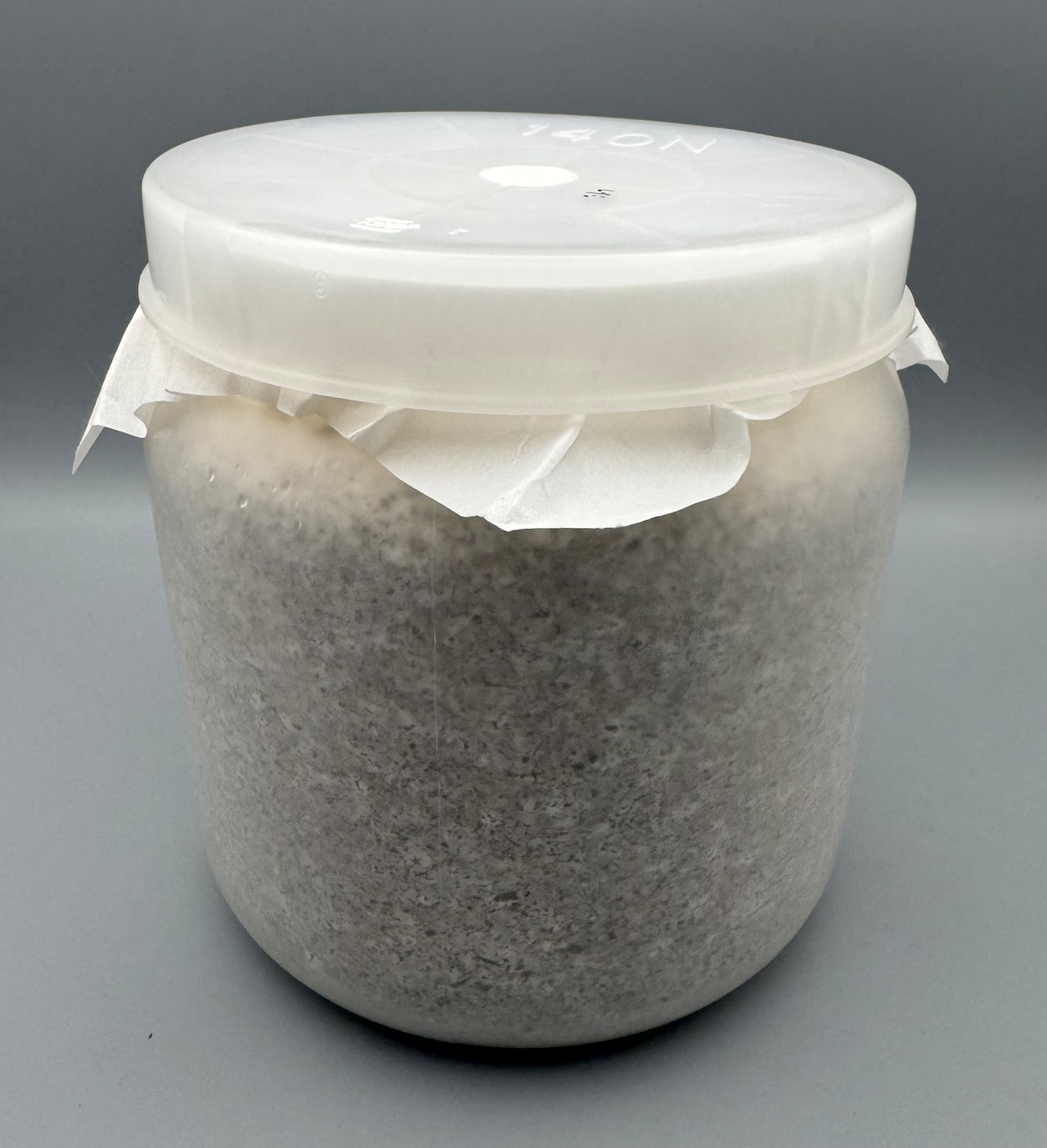 送料無料!! 【10本セット】産卵用レイシ 1400cc(マンネンタケ)