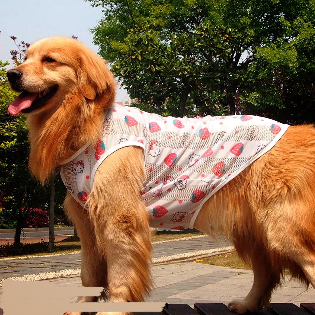 kamakura dog】秋色リブボーダー 犬服 犬の服 ペット服 ドッグウェア 