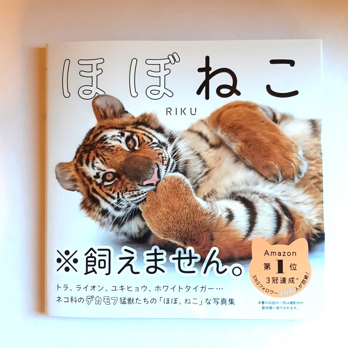 ほぼねこ | ねこのみち