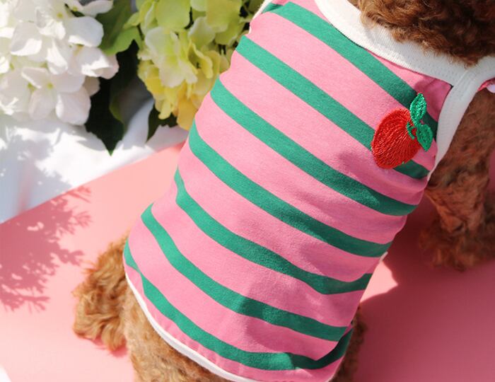 【SALE】リンゴクロップドトップス S ~ XL 2color  /  犬服 春夏 新作 犬 服 タンクトップ 猫 小型犬 ドッグウェア ショート丈 可愛い top79