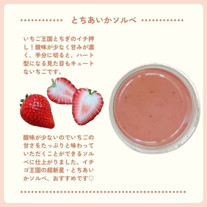 究極のいちごジェラート 3種のソルベ6個セット | 猪野さんちのいちご