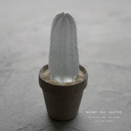 雨空の透明サボテン (雷神閣)