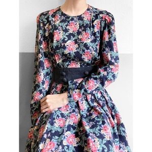 Botanical Print Waist Panel Button Dress