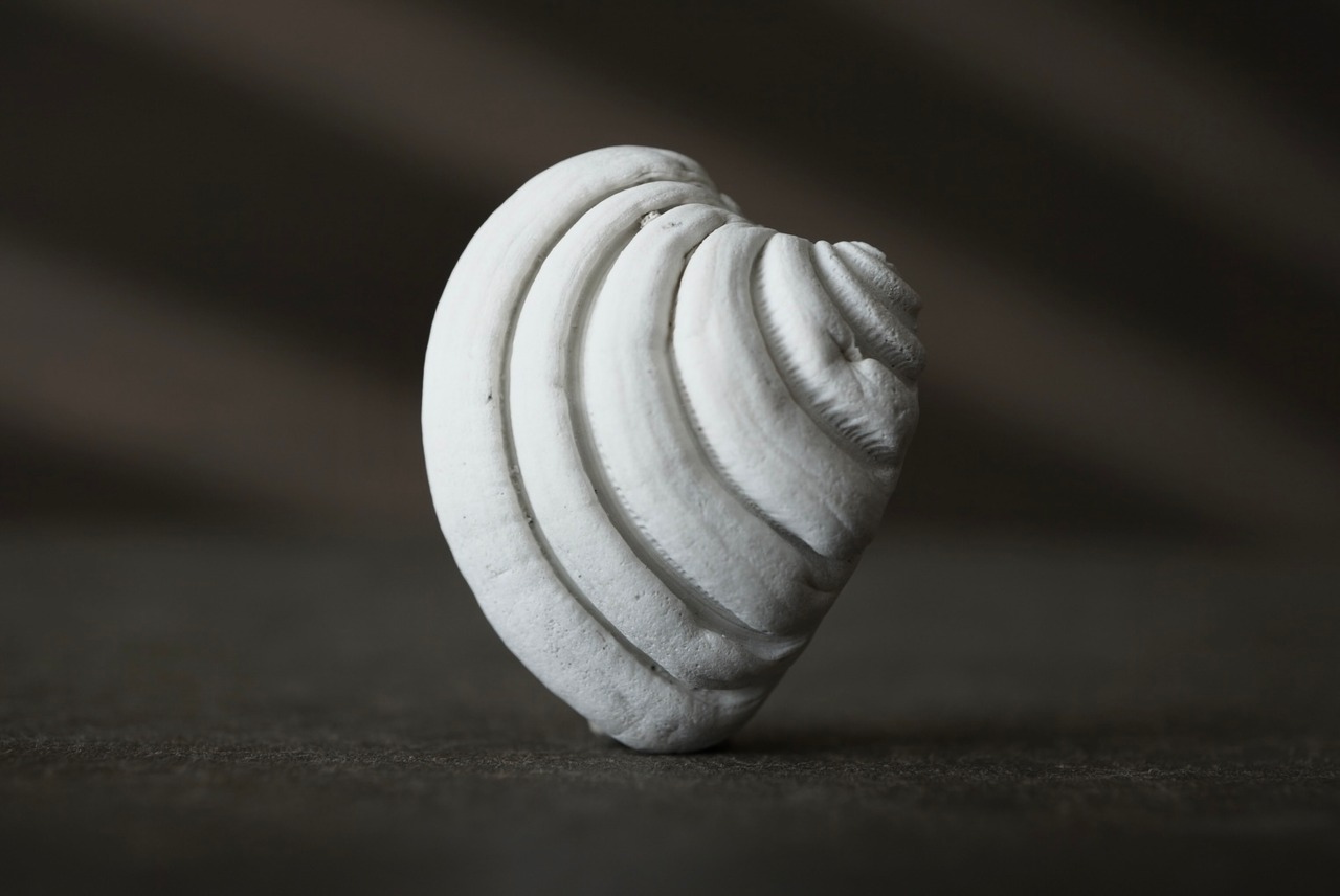 フロリダ産セキトリハナガイ化石　Lirophora latilirata 1527