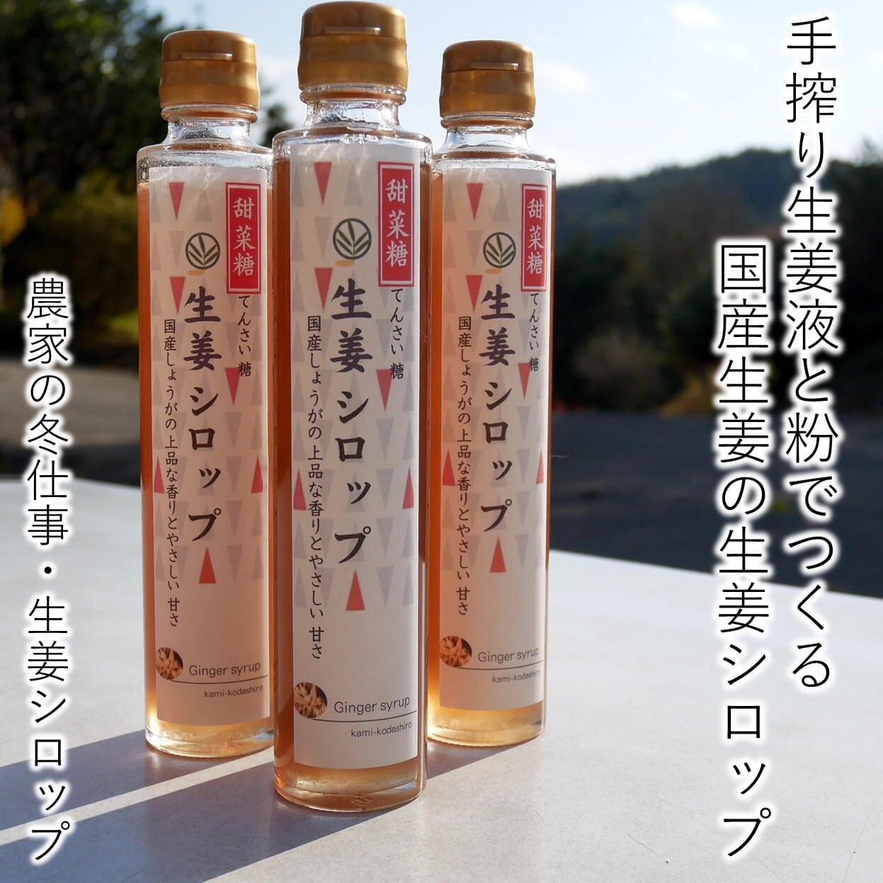 1ヶ月1回定期便 てんさい糖の無添加しょうがシロップ200ml | 北の生姜家 1ヶ月1回定期便 てんさい糖の無添加しょうがシロップ200ml | 北の生姜家