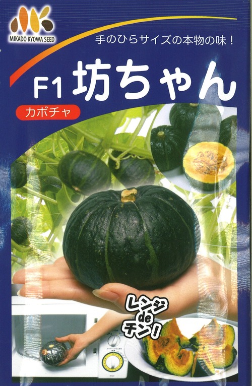 カボチャ「坊っちゃん」（100粒） 画像