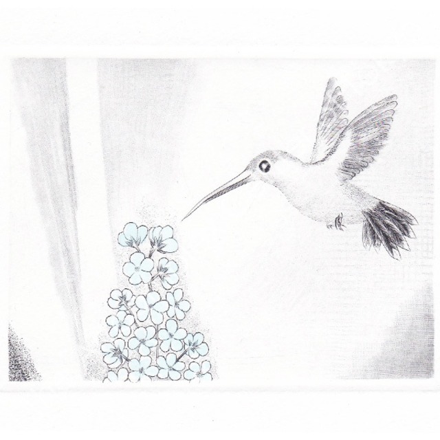 黒田茂樹「Hb-A5」