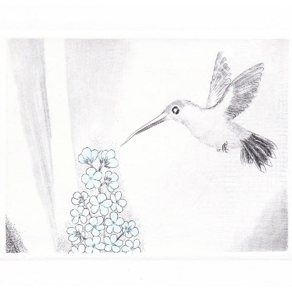 黒田茂樹「Hb-A5」