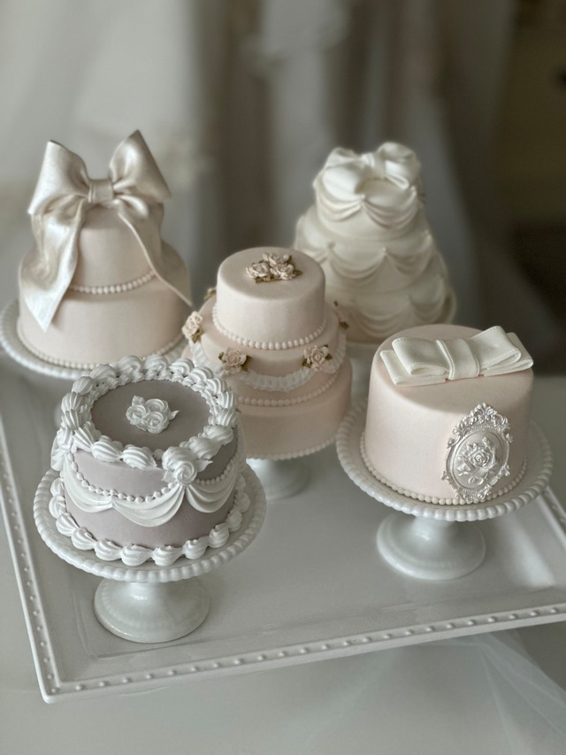 Petit Cake（プティケーキ）｜5点セット   Petit Cake | Complete Set of 5