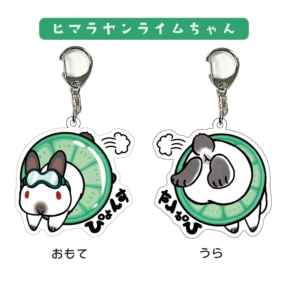浮き輪うさぎのダイビングキーホルダー | ペットイラストはぐもふ