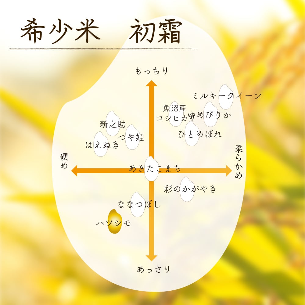 人気銘柄5kg 幻の米!岐阜県産ハツシモ【精米済】慣行栽培【令和7年産】