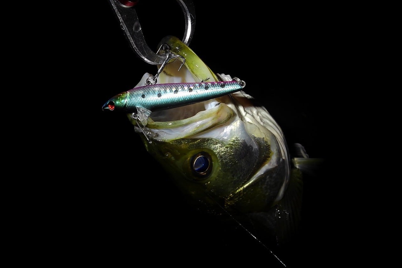 Rb-77S マットバナナチャート 4個セット | スーパーバリューフィッシング