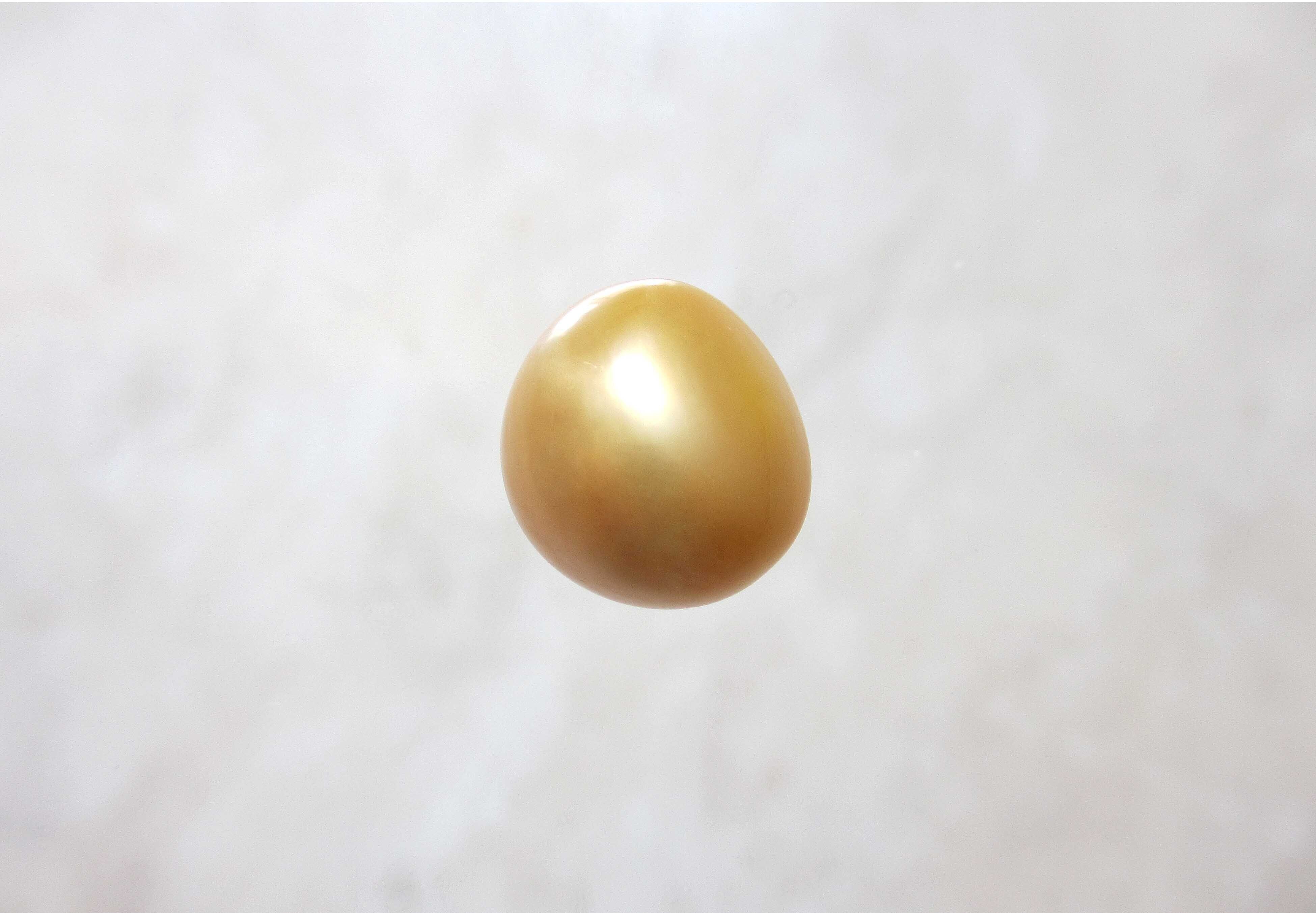 南洋白蝶真珠天然 ゴールド真珠 ドロップパール 14ｍｍ B | なくした