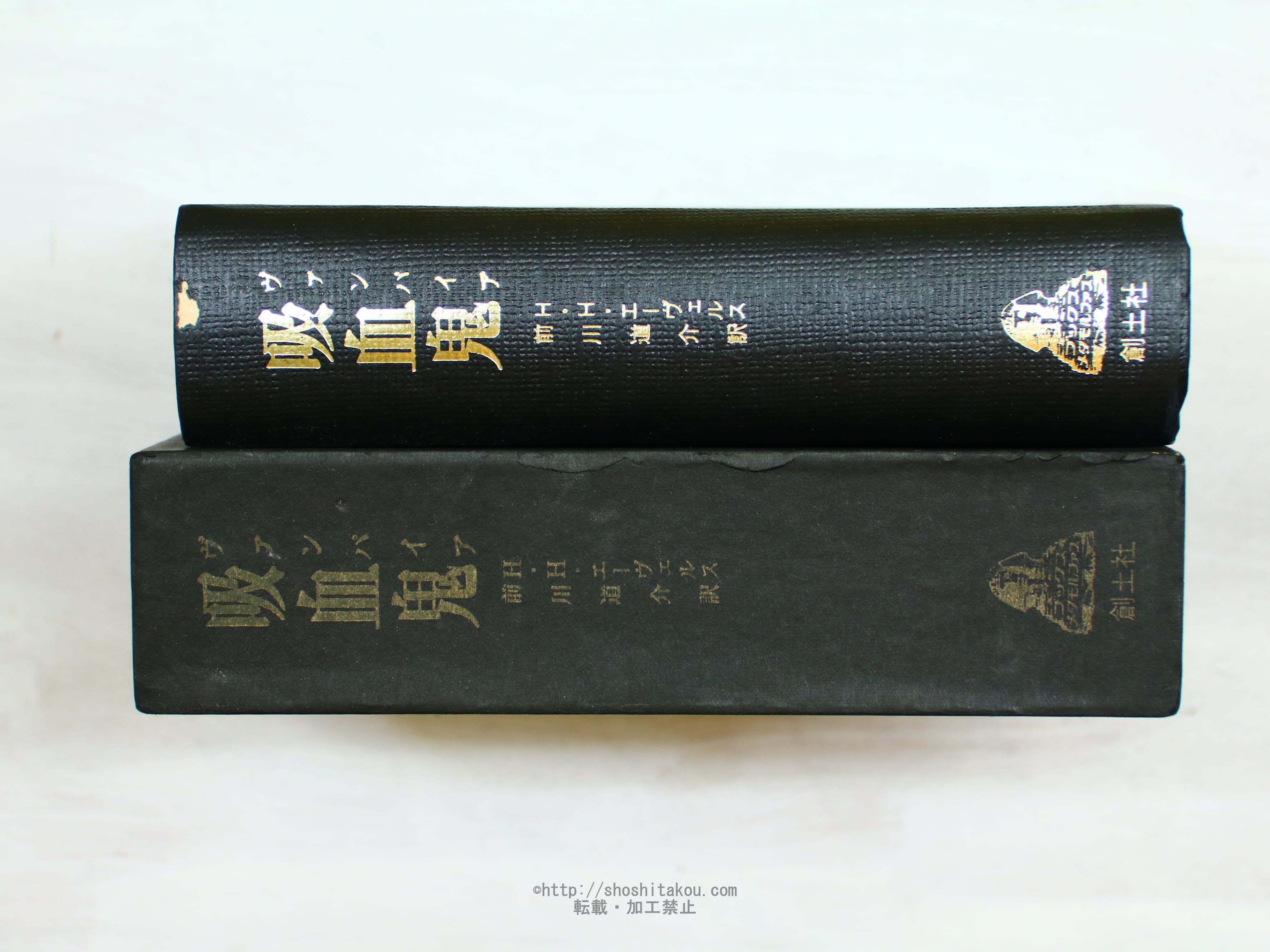 吸血鬼　ヴァンパイア　エーヴェルス 吸血鬼 ヴァンパイア / H.H.エーヴェルス 前川道介訳 [34213] | 書肆田高