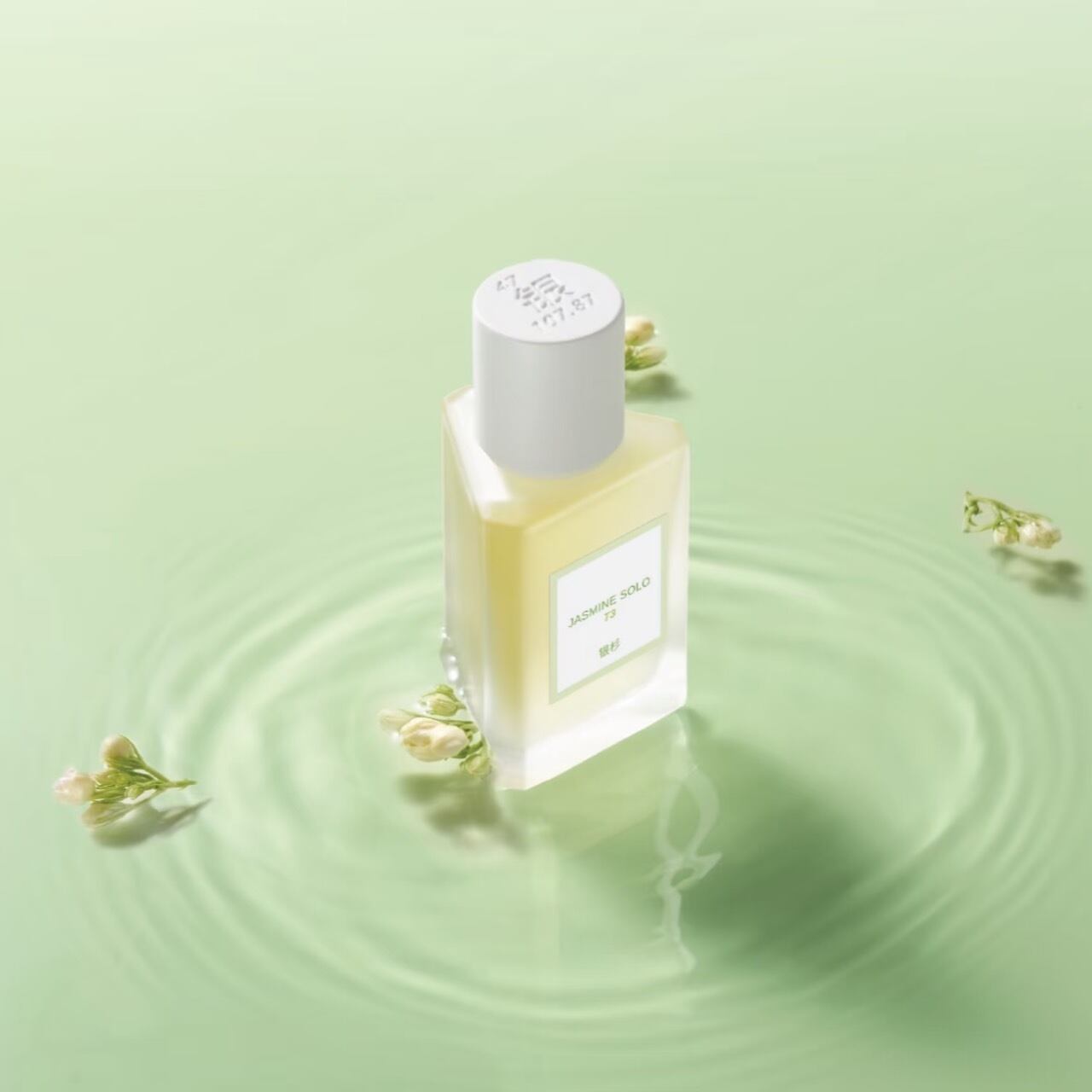 銀杉】JASMINE SOLO | 香跡万里KOUSEKIBANRI