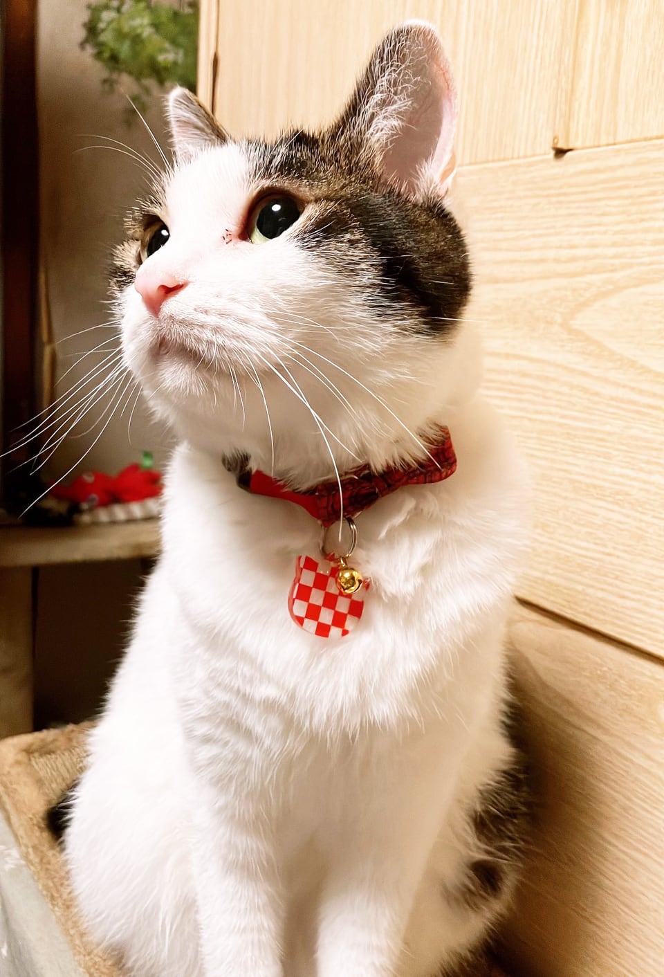 ねこチャーム　全8種　別売りピアスとお揃いできる！