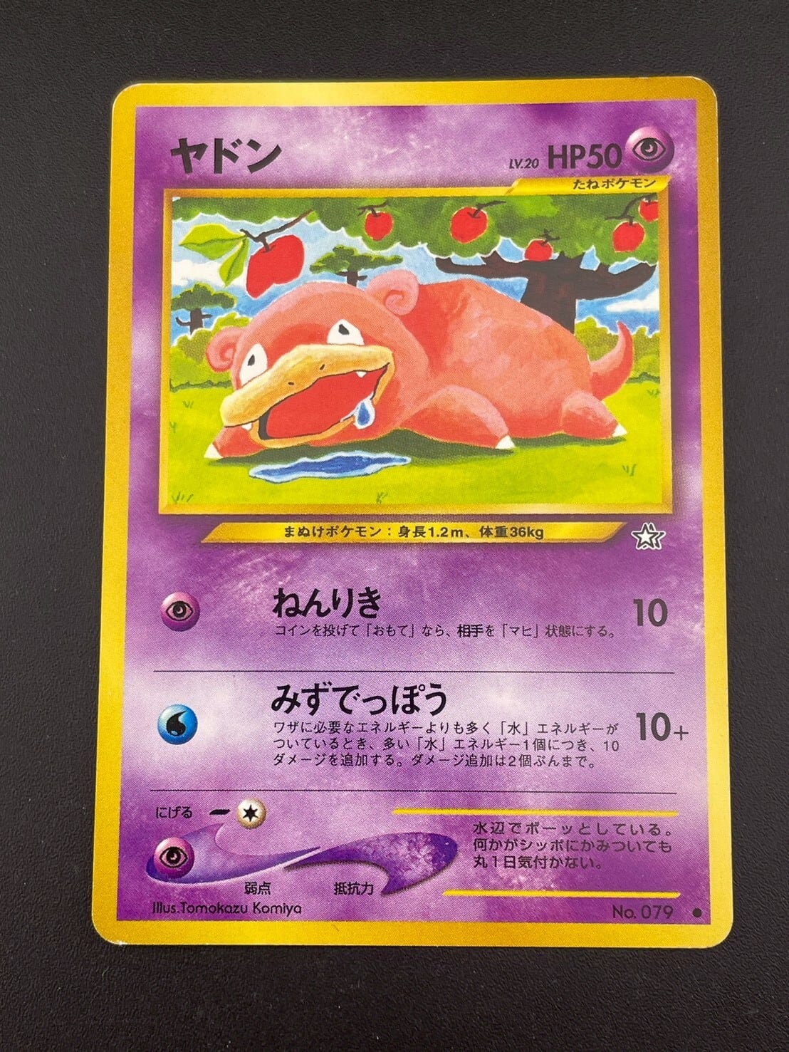 PSA10 リーフィアV SR | Pay ID