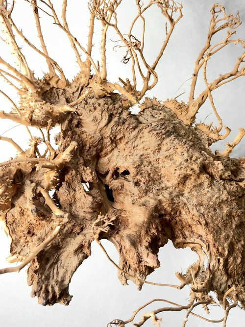 【 INDIVIDUALITY 】偶然と必然