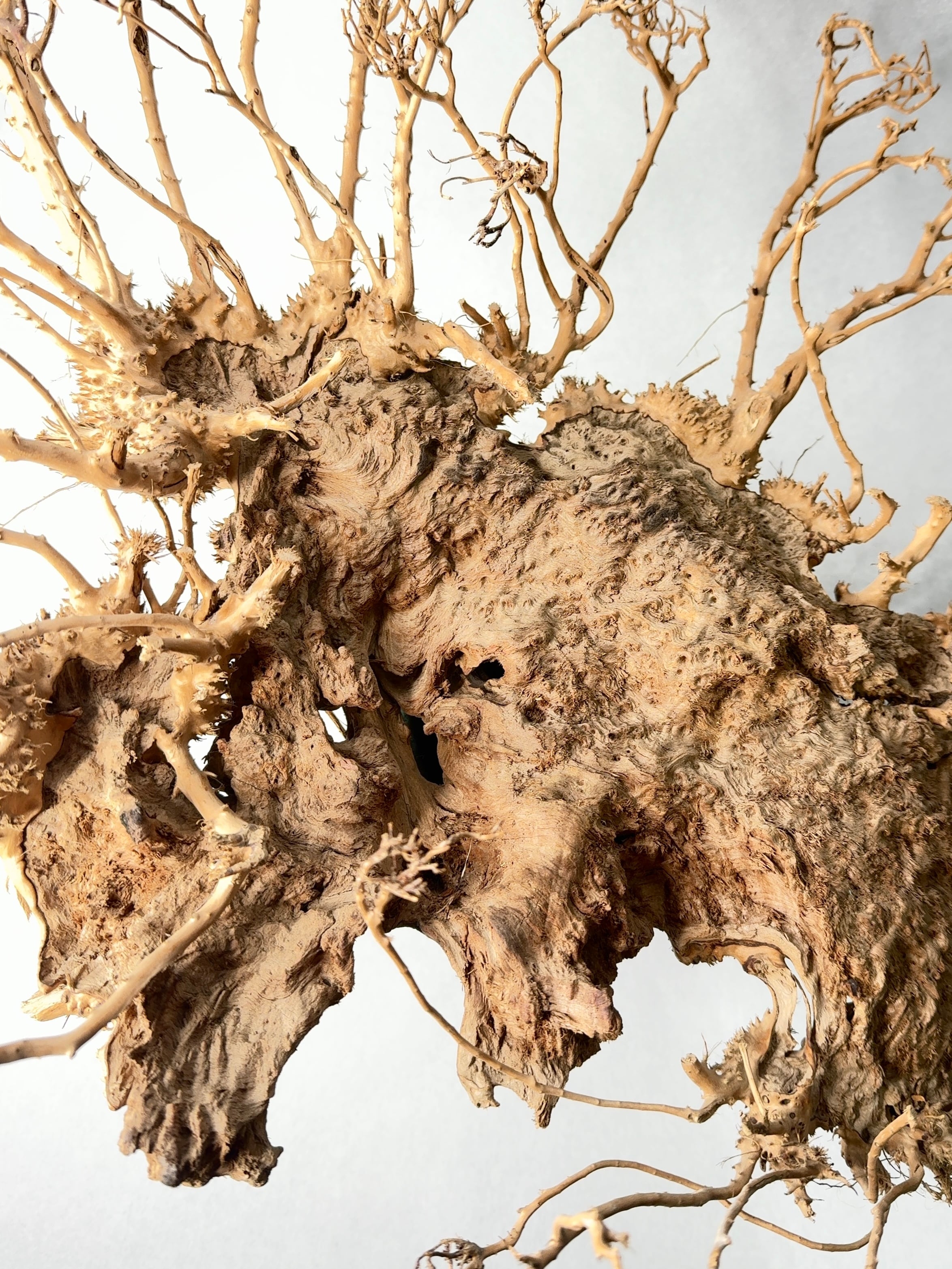 【 INDIVIDUALITY 】偶然と必然