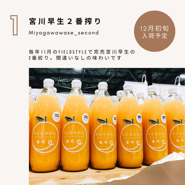 入荷＞＞12月初旬入荷「宮川早生2番絞り」