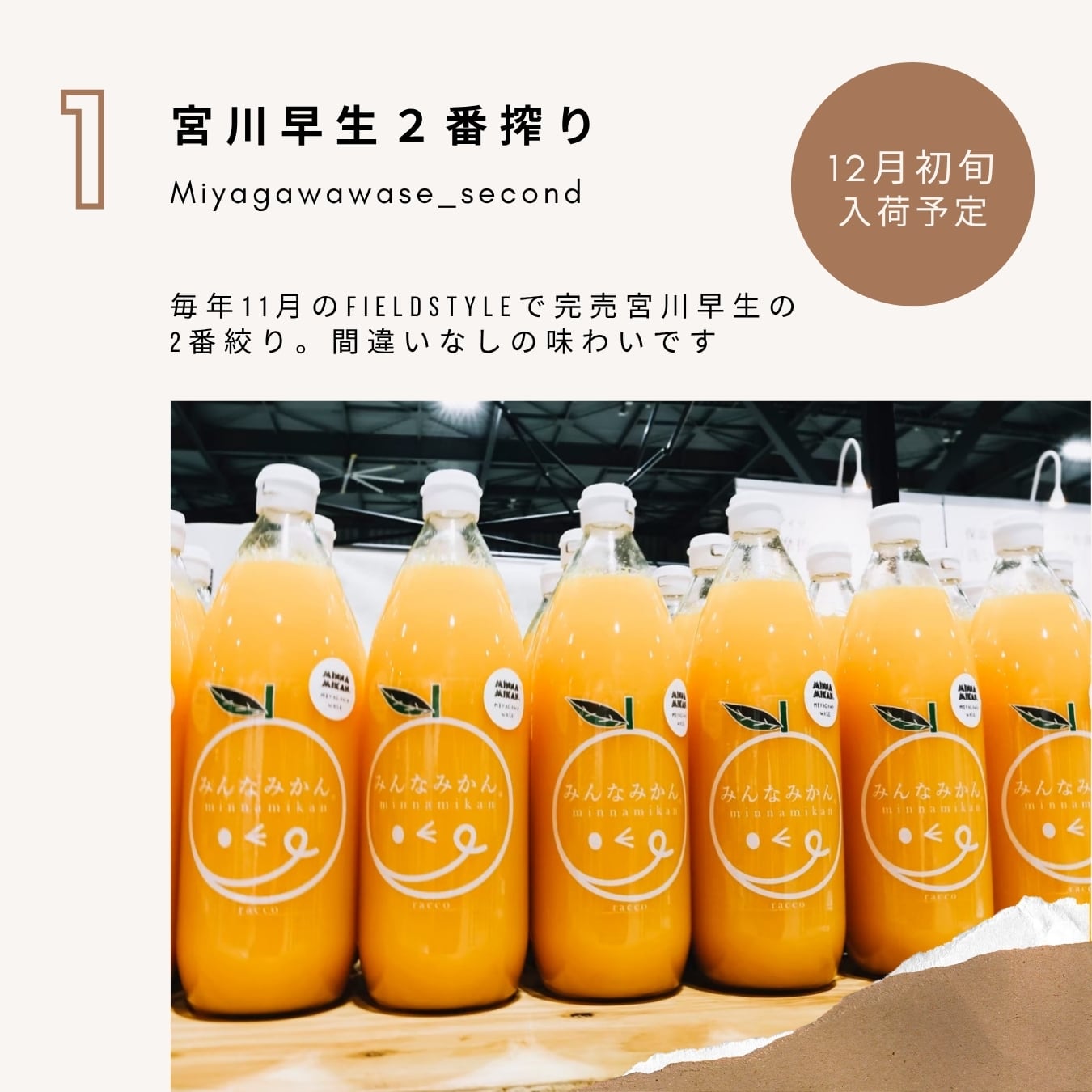 予約START>12月初旬入荷「宮川早生2番絞り」