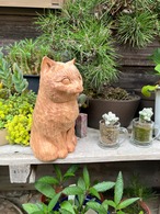 無垢の猫ちゃん