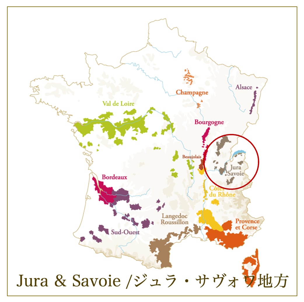 【フィリップ・ヴァンデル】クレマン・デュ・ジュラ ブリュット NV