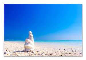 奄美ポストカード「いいね!奄美」2026