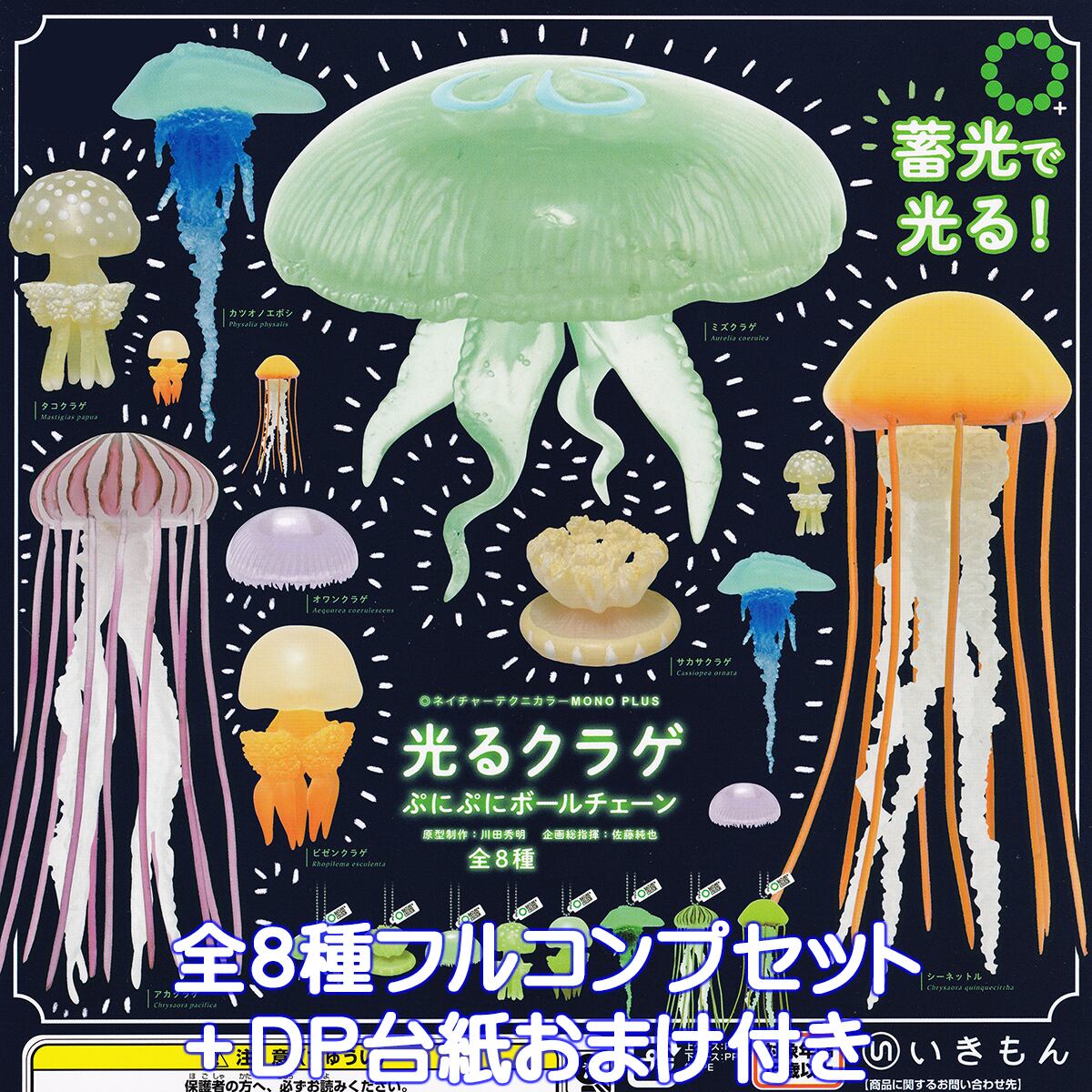 スッポンモドキ フィギュア ネイチャーテクニカラー 再販商品の情報】 – ネイチャーテクニカラー公式