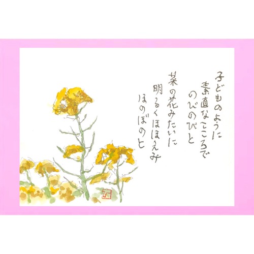 ◎ナノハナ〈菜の花〉