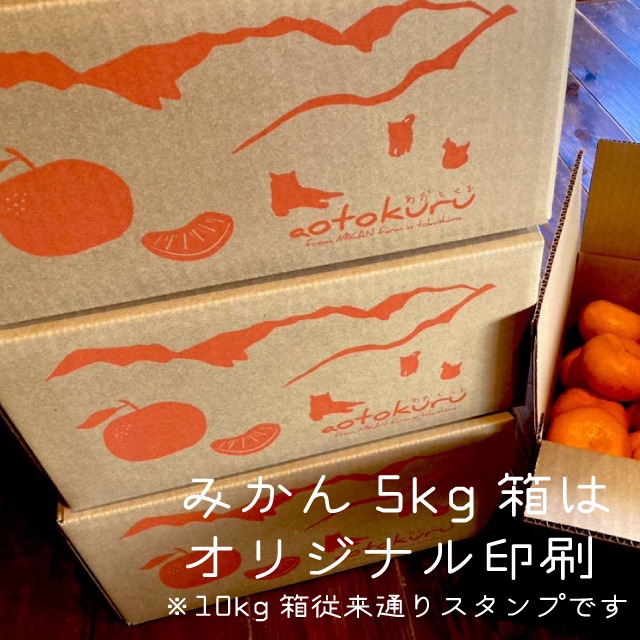 2026/1/1予約販売開始【5kg×2箱まとめて一括り1個口発送】蔵出し熟成みかん5kg×2箱