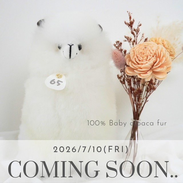 ALL ITEM | Totolitoo ベビーアルパカのぬいぐるみ&メキシコ雑貨の専門店