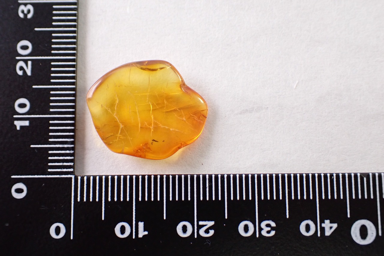 【原石セット】バルティックアンバー 1.2ct/4.47ct 　[C2‐1052]