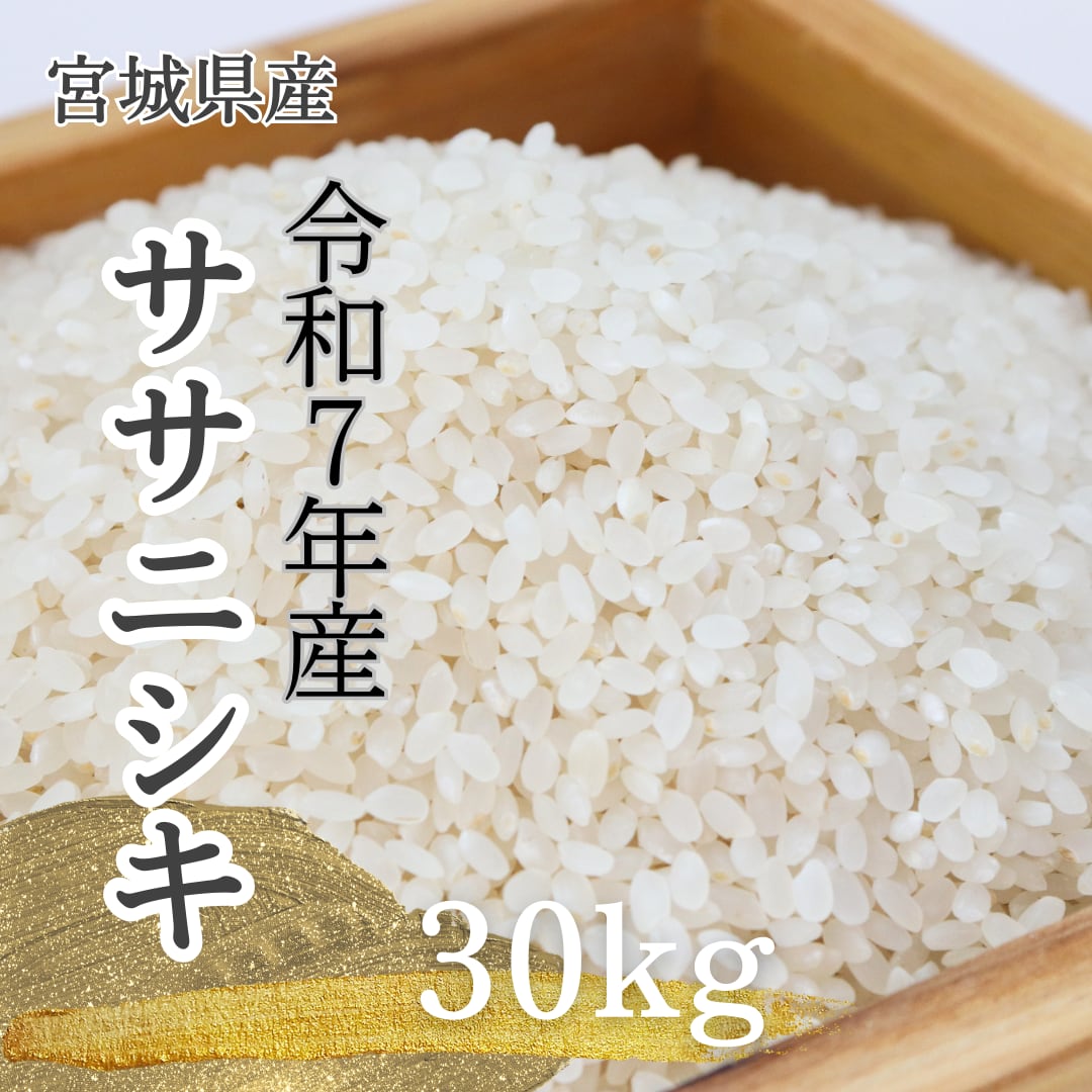 新米 令和7年産 【30kg精米】 宮城県産ササニシキ | 有限会社笠原商店