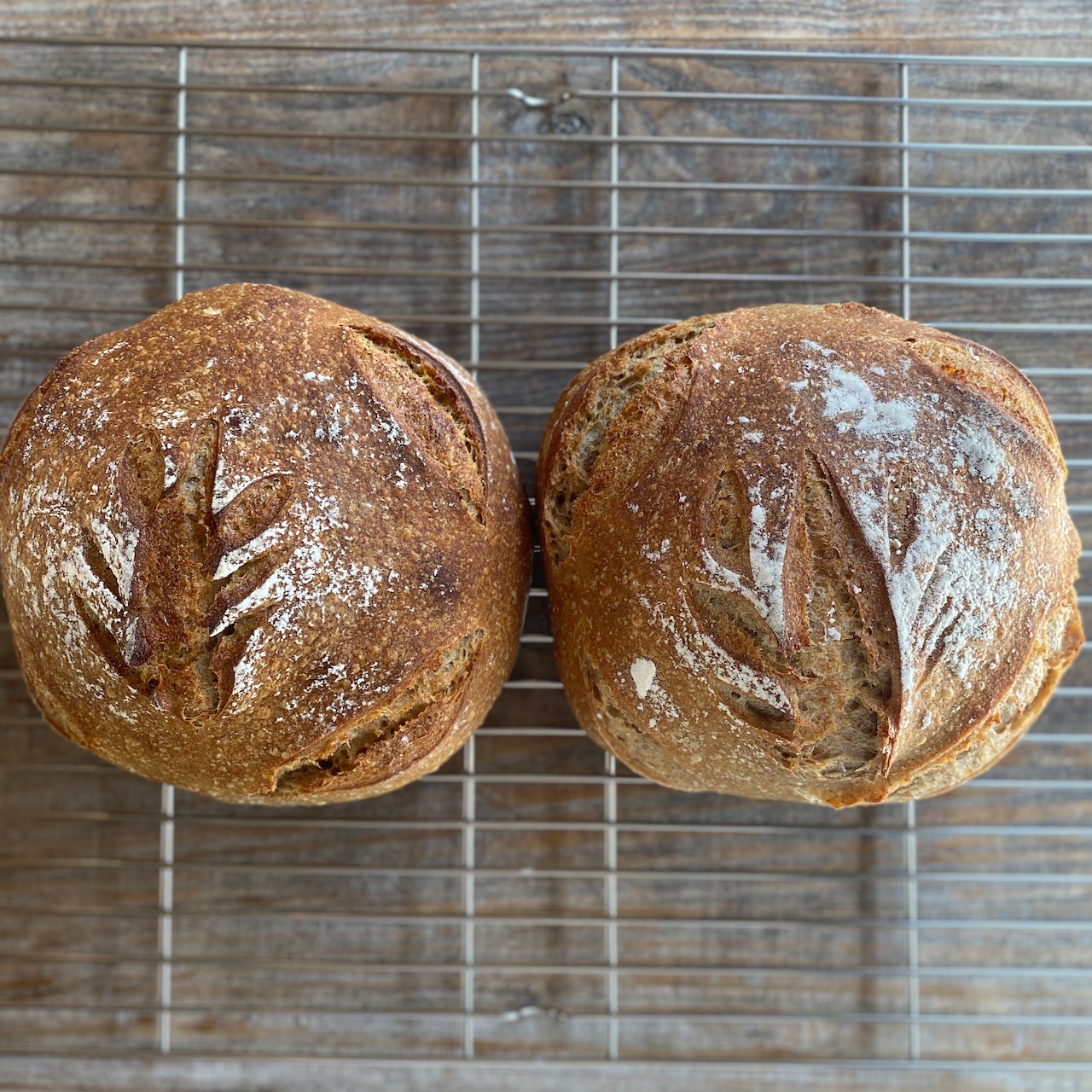 サワードウブレッドの毎月便　ライ麦2ホール　　天然酵母　ハード系のパン　【水・日　発送】【Bakery】