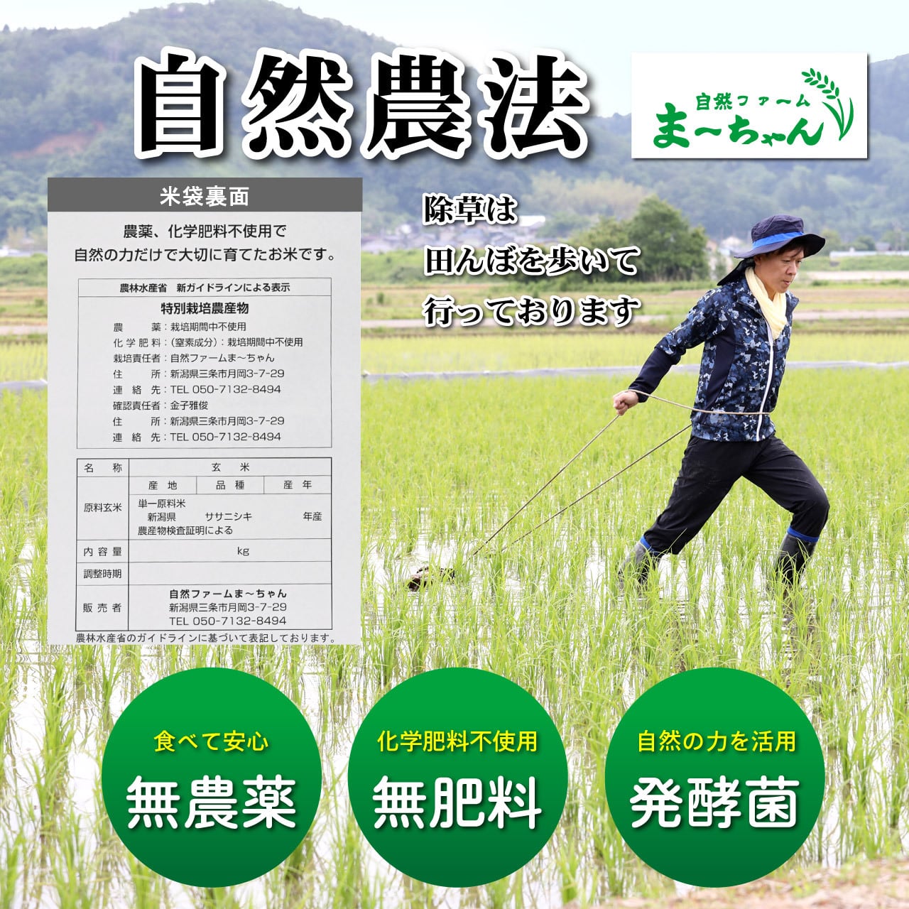 農薬・肥料・除草剤は不使用！自然栽培米＆天日干し、完熟・朝日米