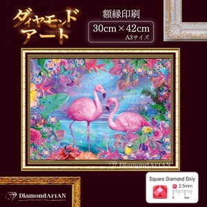 AM-558 A3 ダイヤモンドアート キット  砂浜 グラデーション シェル 額縁印刷   季節 リハビリ脳トレ 集中力 知育 ビーズアート クロスステッチ 好きにも♪