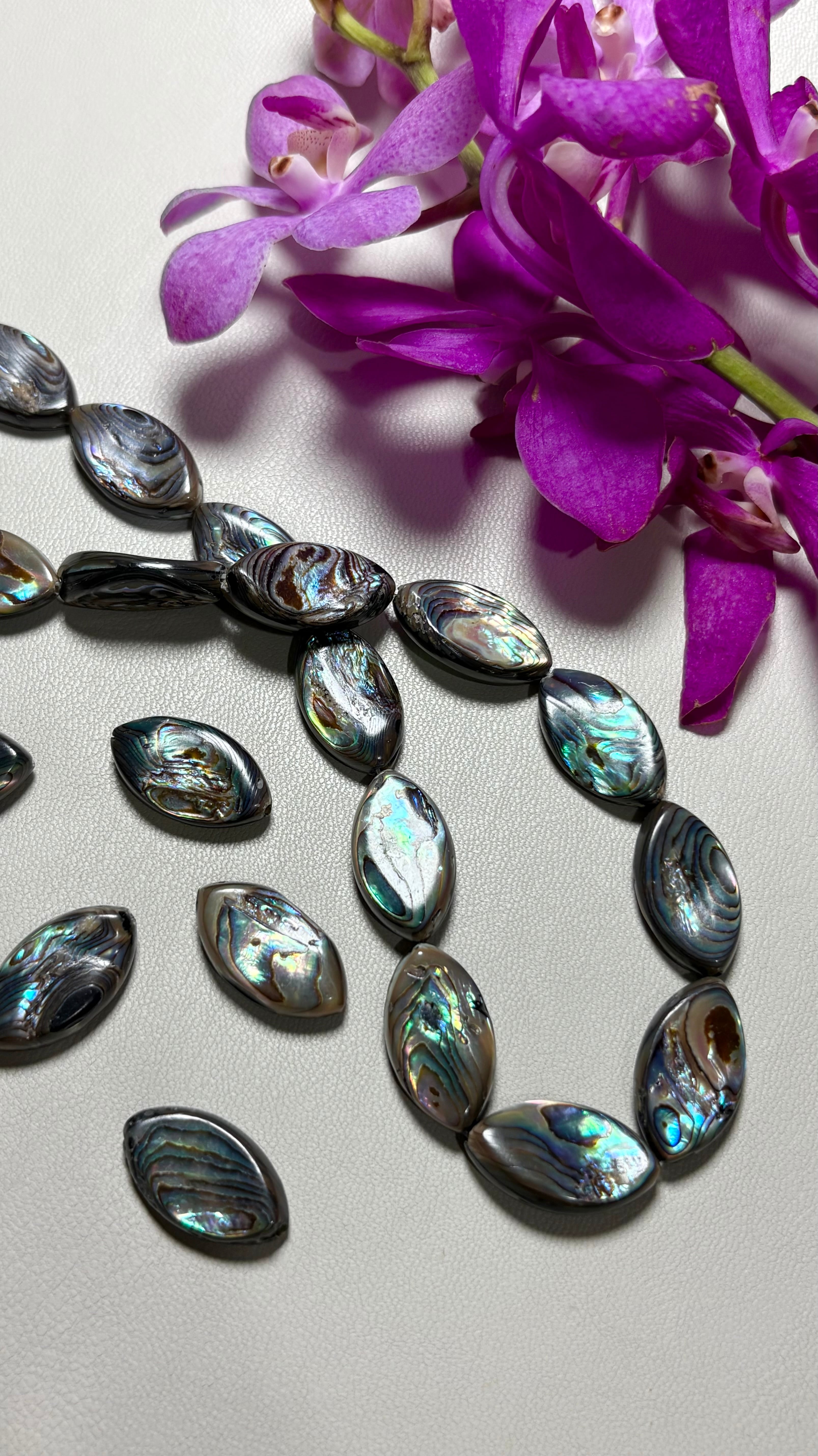 Abalone Shell Marquise Shape Beads (10pcs) / アバロンシェル マーキス