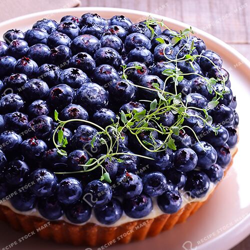 TM_A_0101_ブルーベリータルト | Recipe Stock Mart レシピストックマート
