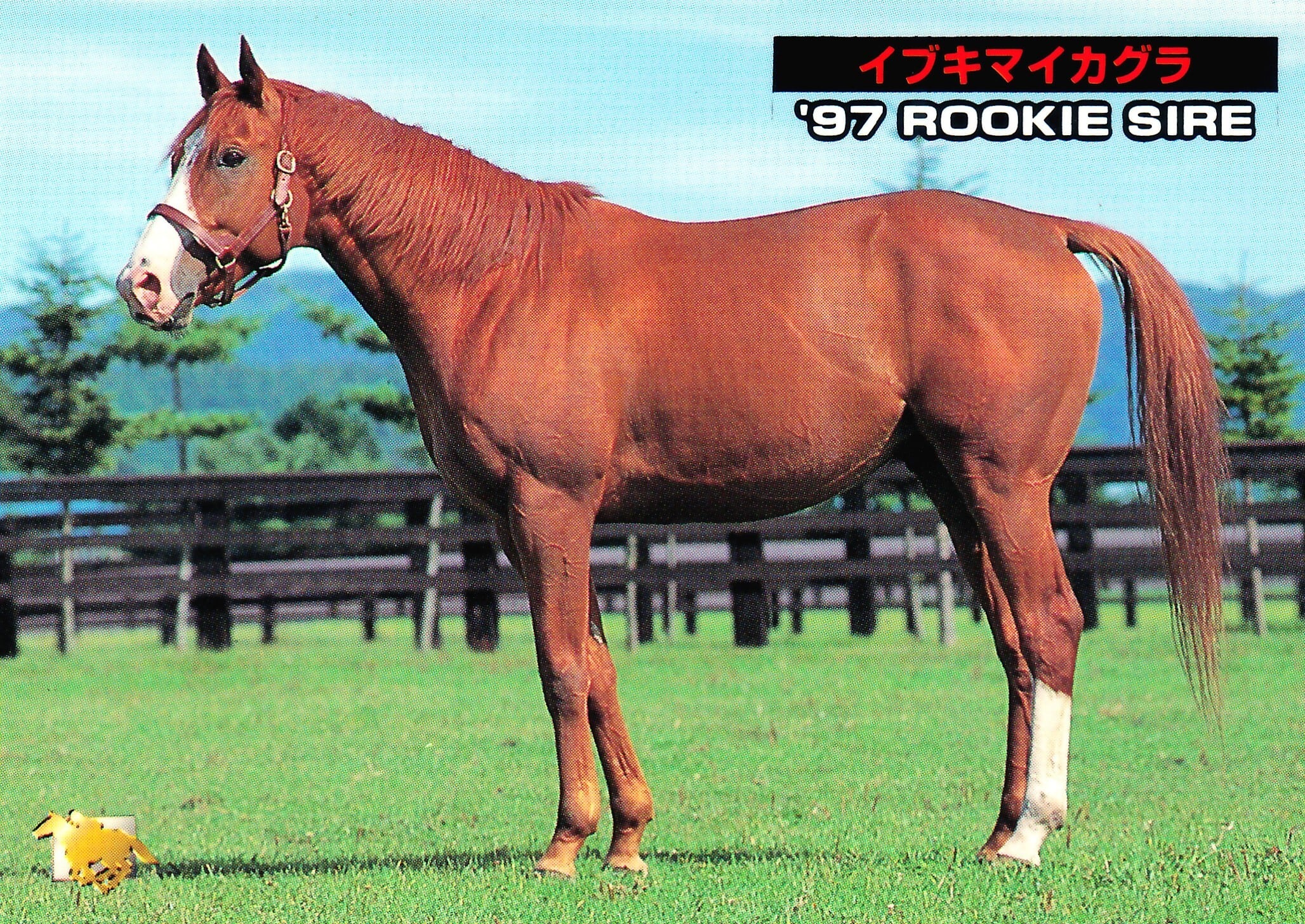 イブキマイカグラ「サラブレッドカード 97年上半期版」No.167 | カード