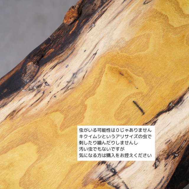 桑の一枚板 細長いローテーブル