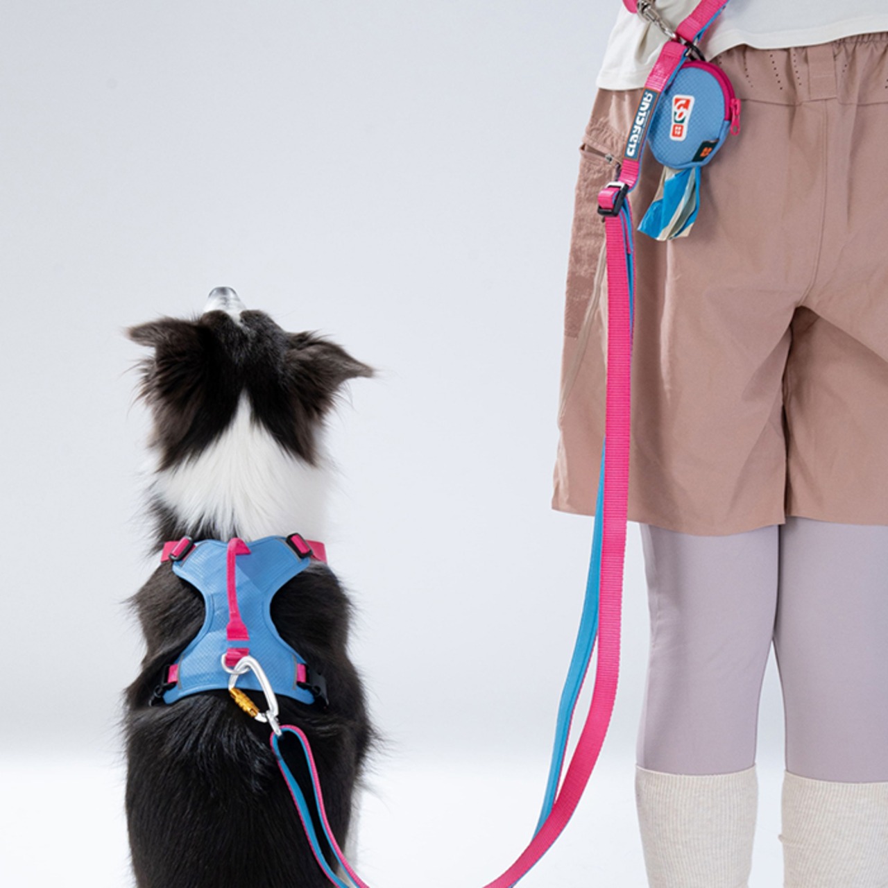 ※予約【puppygallery公式】Momentum - Basic Leash マルチタイプ幅 2.0cm × 長さ 106〜201cm（調節可能）