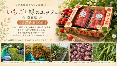 いちごと緑のエッフェの紹介