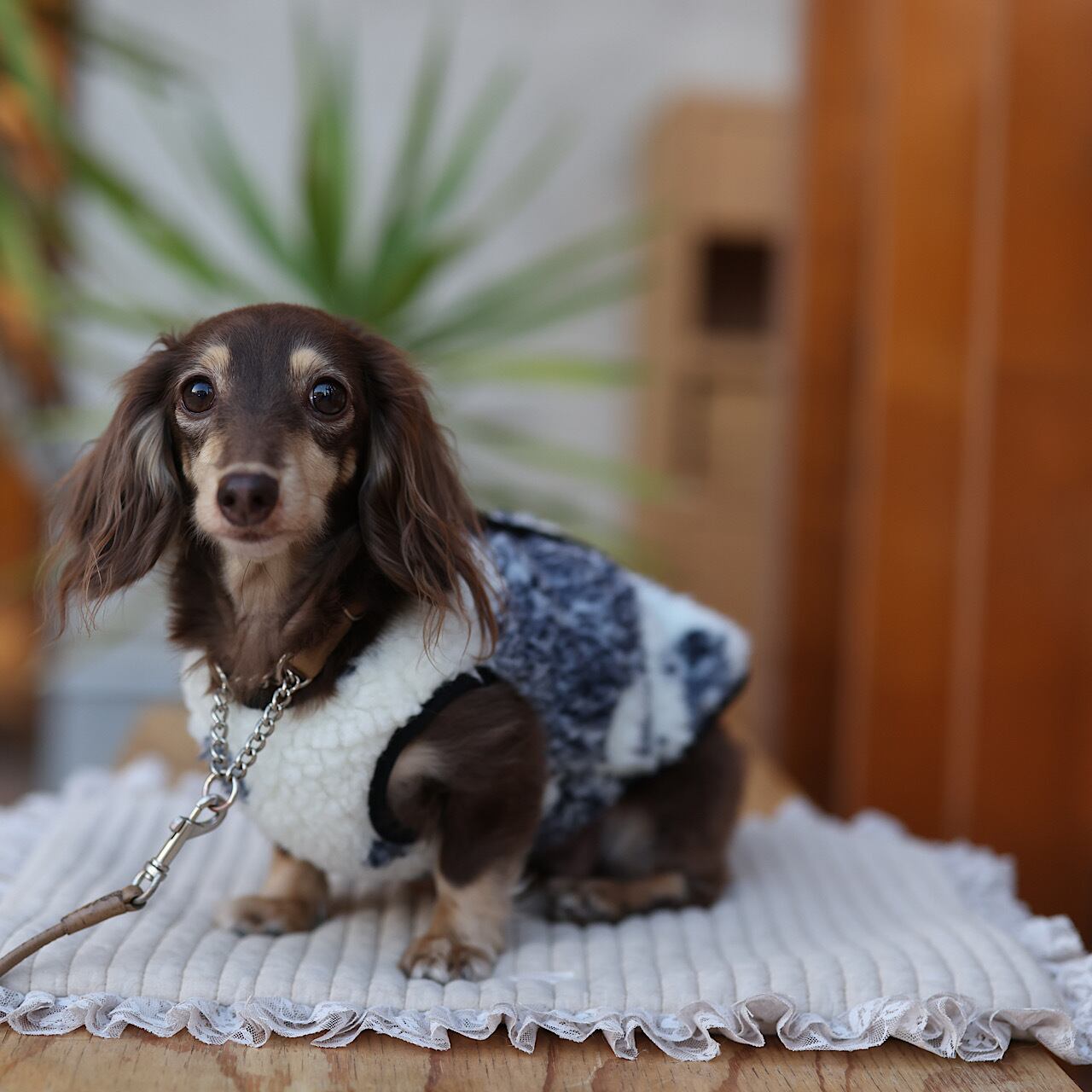 Rum & Pino ボアベストペイズリー