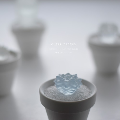 clear cactus (small)　