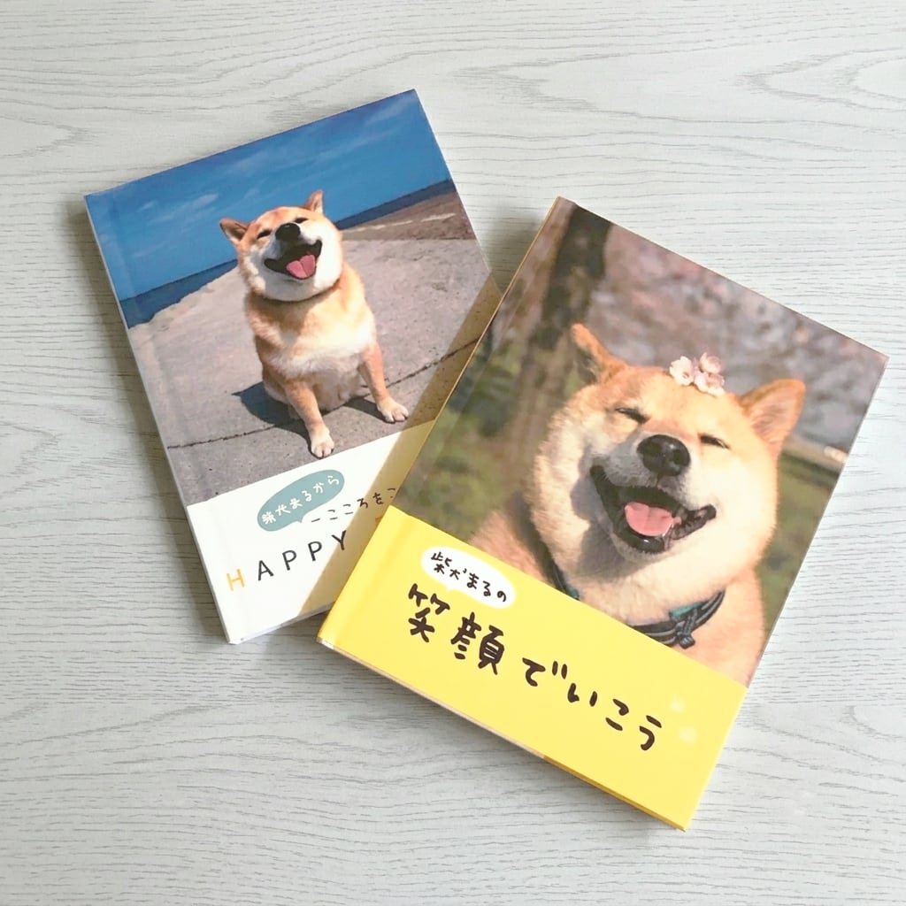 柴犬まるのメッセージブック(封筒付き) | MARUTARO SHOP